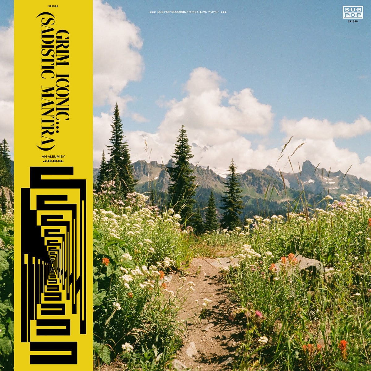 I Was a Teenage Punk