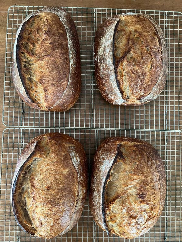 Concerning Bread and Illness